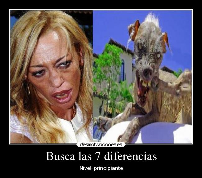Busca las 7 diferencias -