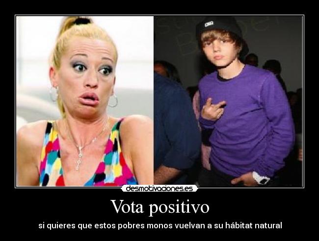 Vota positivo - si quieres que estos pobres monos vuelvan a su hábitat natural