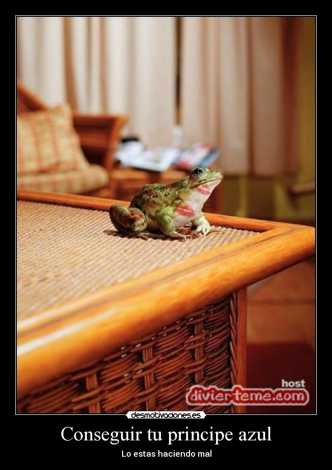 Conseguir tu principe azul - 