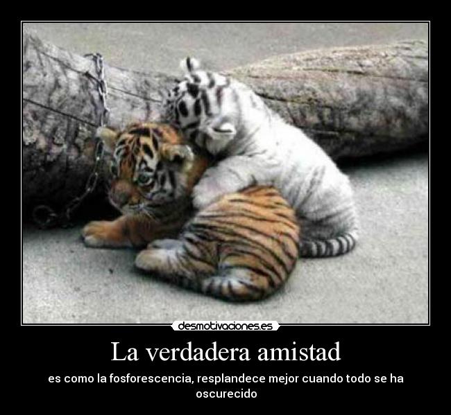 La verdadera amistad -