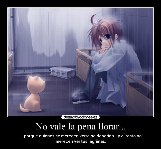 No vale la pena llorar... -