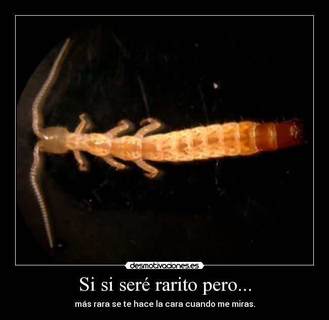 Si si seré rarito pero... -