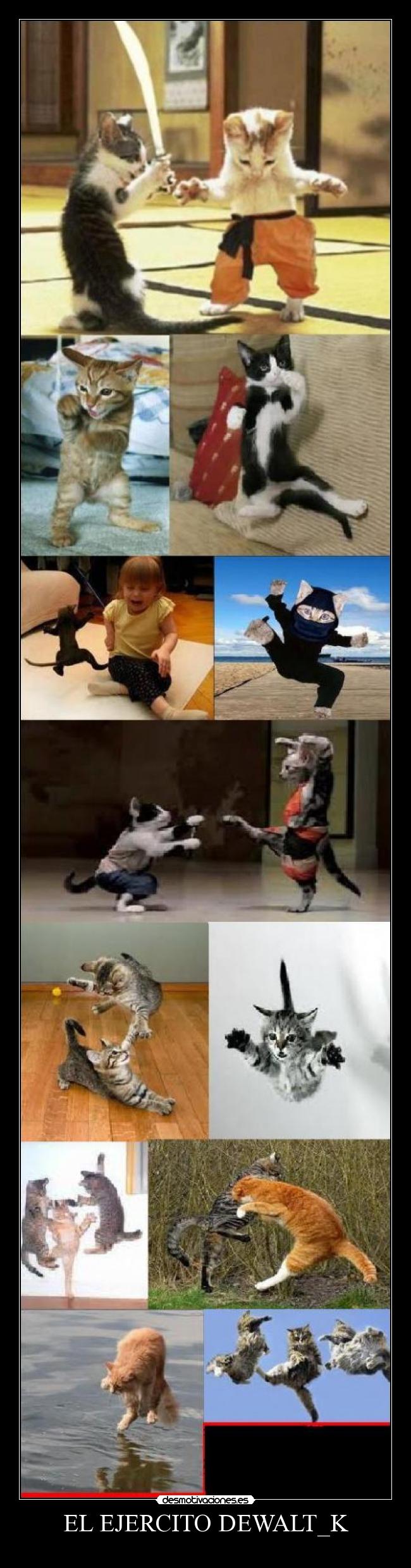 EL EJERCITO DEWALT_K - 