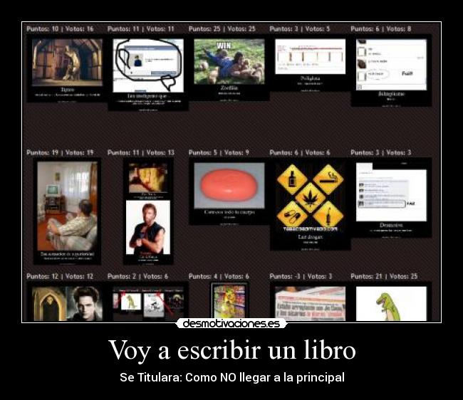 Voy a escribir un libro -