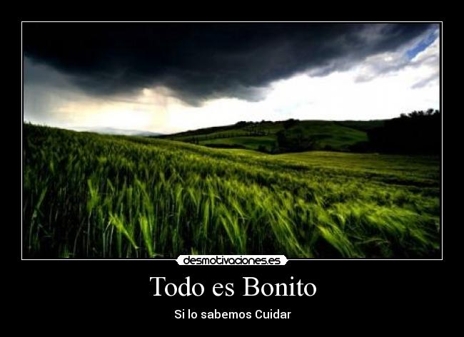 Todo es Bonito - Si lo sabemos Cuidar