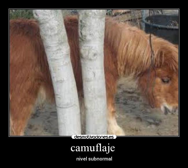 camuflaje -