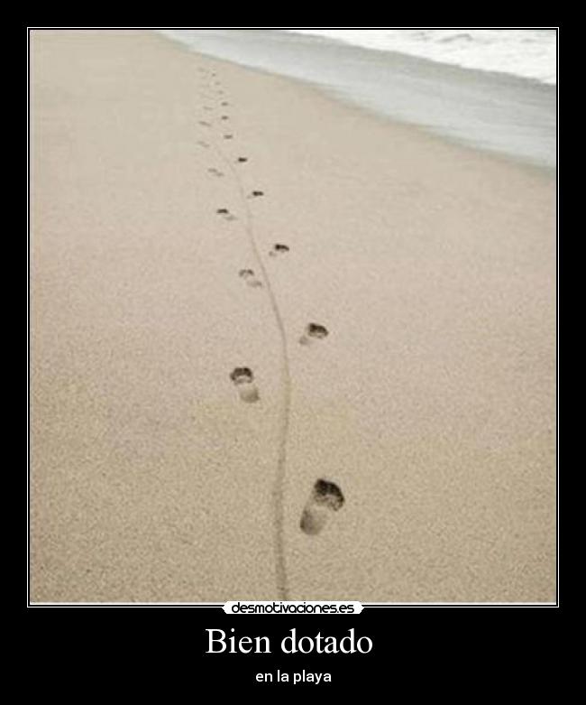 Bien dotado  - en la playa