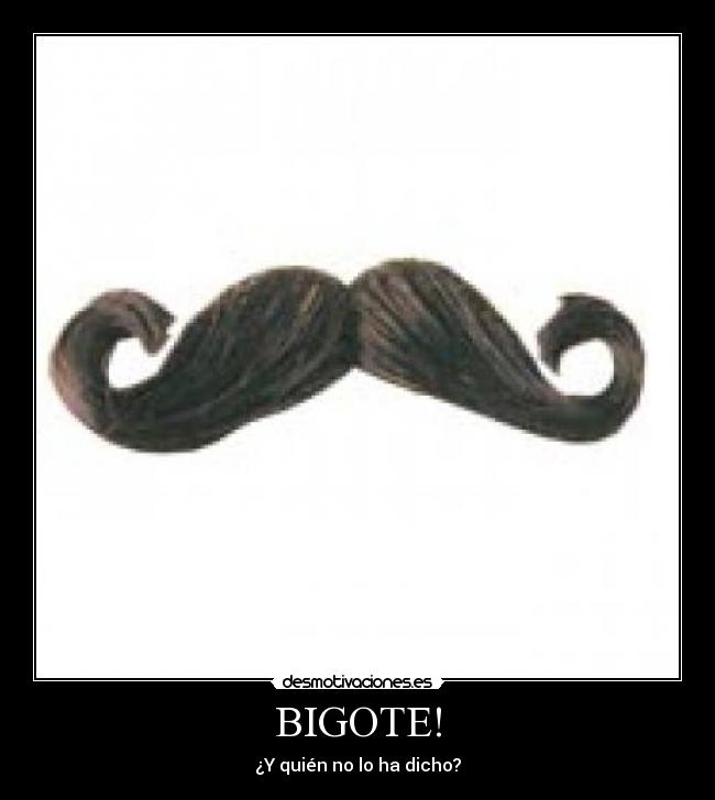 BIGOTE! - ¿Y quién no lo ha dicho?