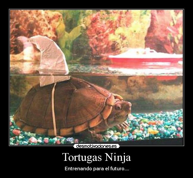 Tortugas Ninja - Entrenando para el futuro....