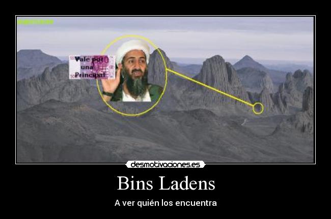 Bins Ladens - A ver quién los encuentra