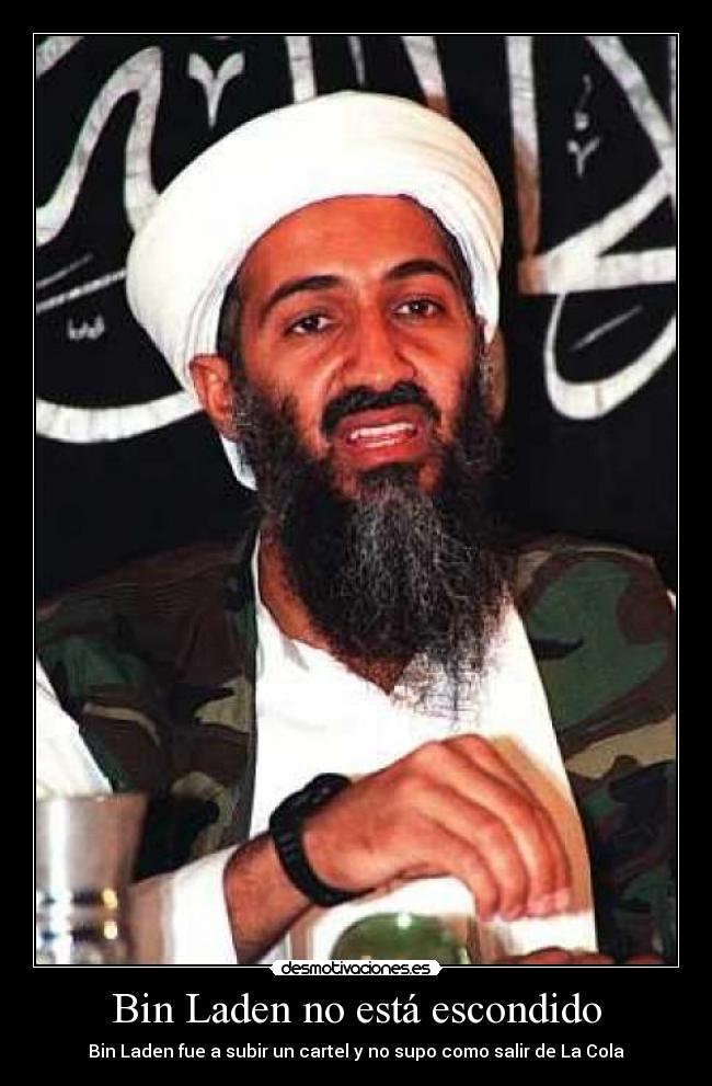 Bin Laden no está escondido -