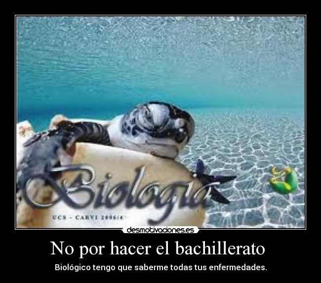 No por hacer el bachillerato  - 