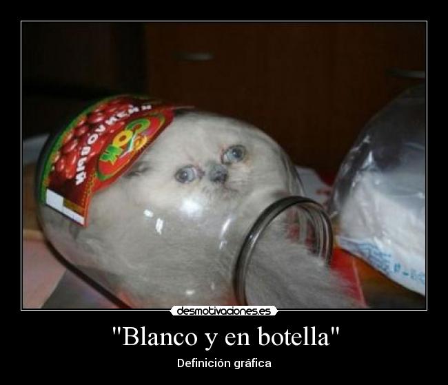 Blanco y en botella - 