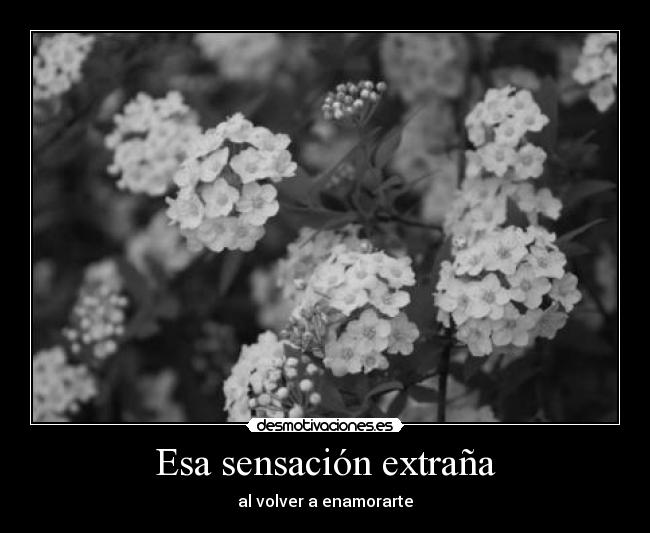 Esa sensación extraña - al volver a enamorarte