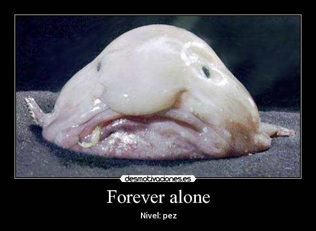 Forever alone -