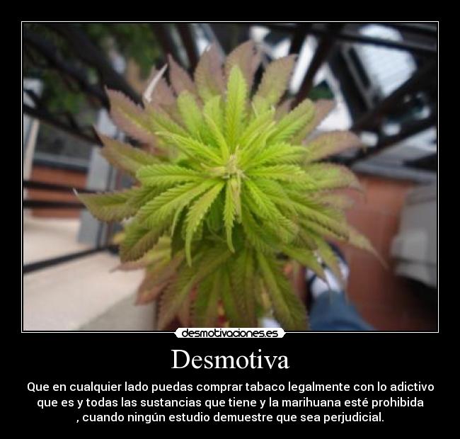 Desmotiva - Que en cualquier lado puedas comprar tabaco legalmente con lo adictivo
que es y todas las sustancias que tiene y la marihuana esté prohibida
, cuando ningún estudio demuestre que sea perjudicial.