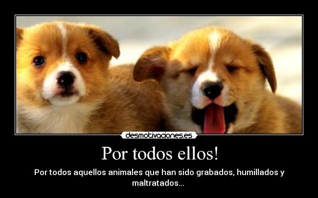 Por todos ellos! -
