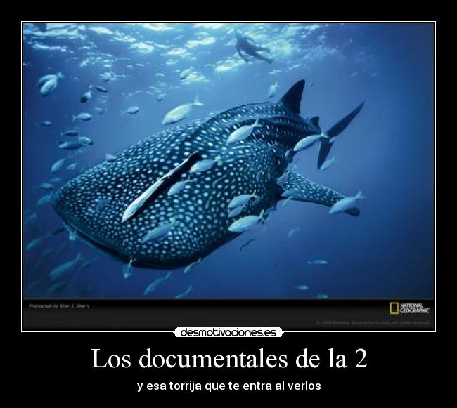 Los documentales de la 2 - y esa torrija que te entra al verlos