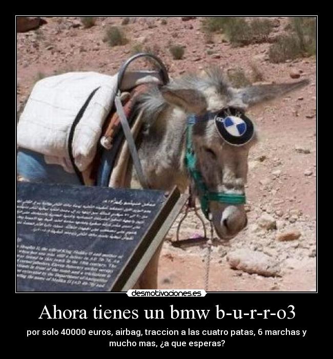Ahora tienes un bmw b-u-r-r-o3 - por solo 40000 euros, airbag, traccion a las cuatro patas, 6 marchas y
mucho mas, ¿a que esperas?
