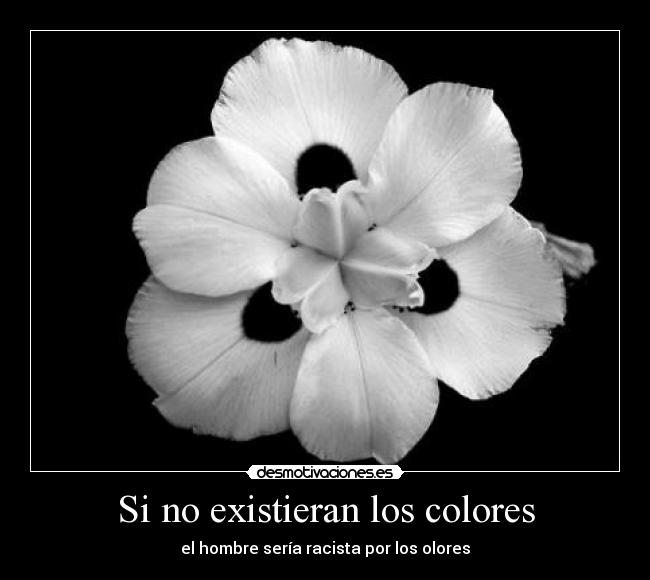 carteles coloresolores desmotivaciones
