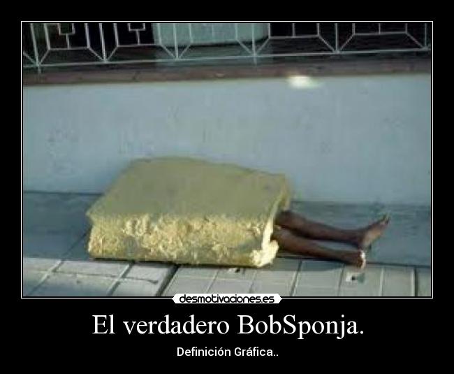 El verdadero BobSponja. - Definición Gráfica..