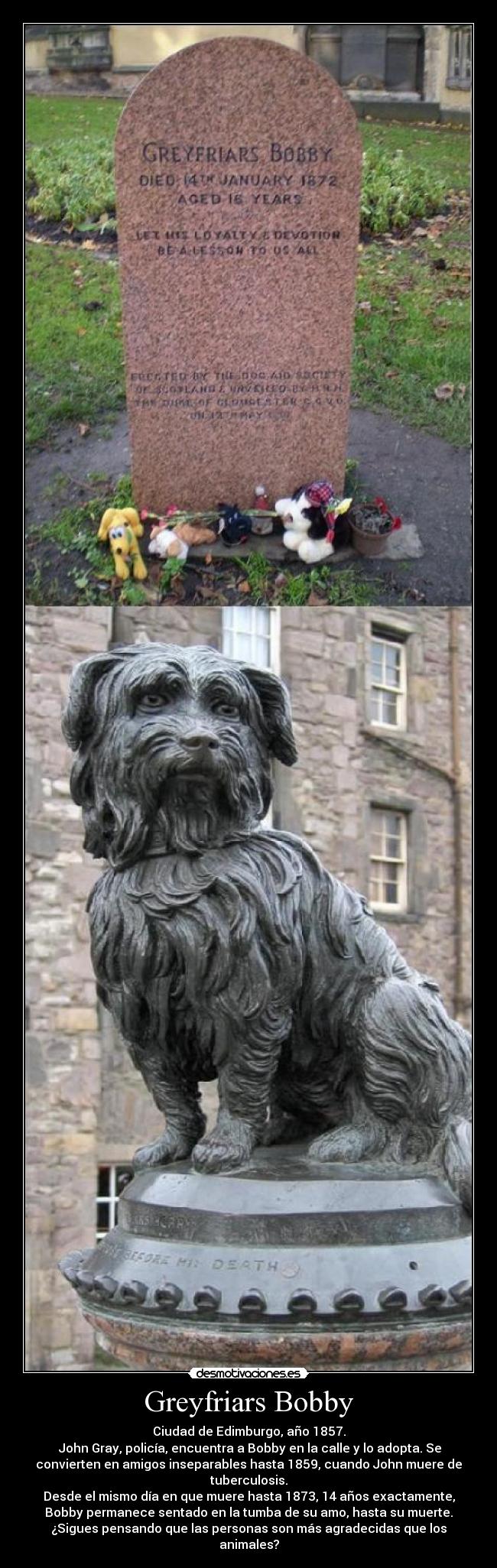 Greyfriars Bobby - Ciudad de Edimburgo, año 1857.
 John Gray, policía, encuentra a Bobby en la calle y lo adopta. Se
convierten en amigos inseparables hasta 1859, cuando John muere de
tuberculosis.
Desde el mismo día en que muere hasta 1873, 14 años exactamente,
Bobby permanece sentado en la tumba de su amo, hasta su muerte.
¿Sigues pensando que las personas son más agradecidas que los
animales?