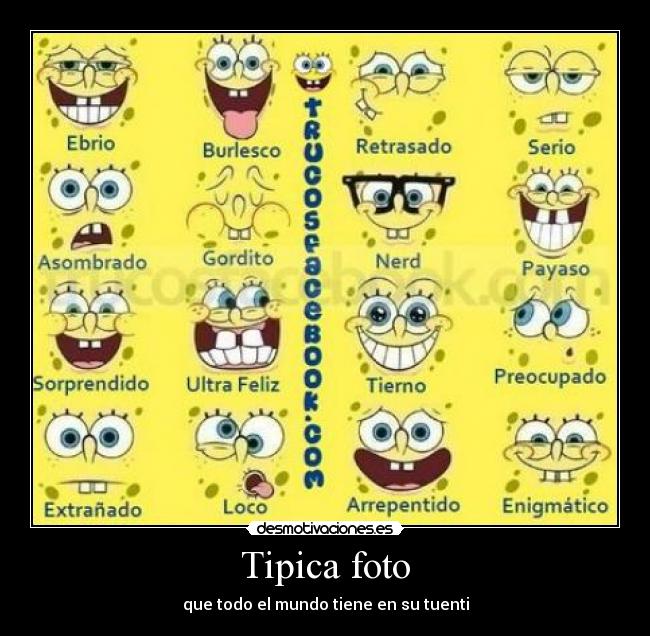 Tipica foto - 