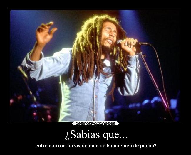 ¿Sabias que... - entre sus rastas vivían mas de 5 especies de piojos?