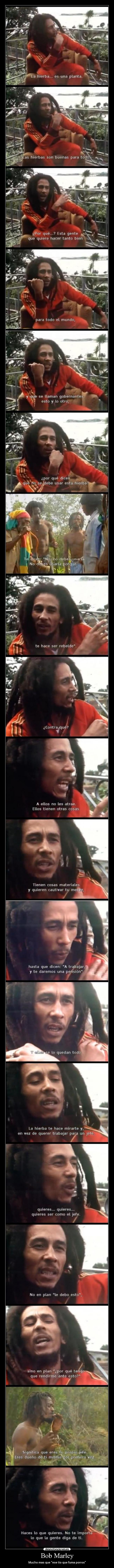 Bob Marley - Mucho mas que ese tio que fuma porros