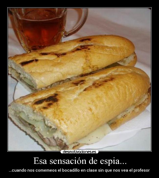 Esa sensación de espia... -