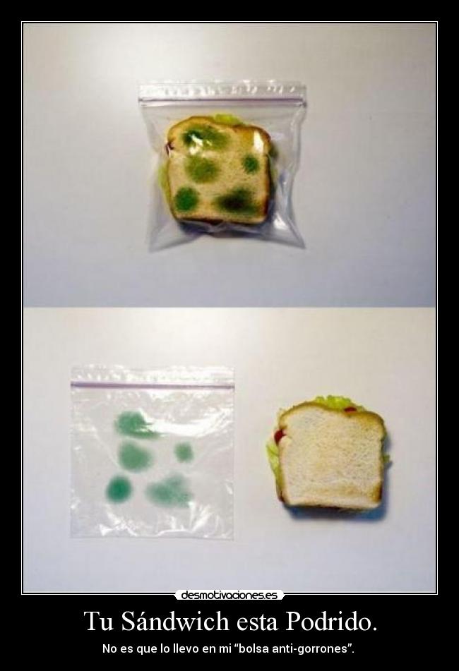Tu Sándwich esta Podrido. -
