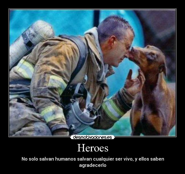 Heroes - No solo salvan humanos salvan cualquier ser vivo, y ellos saben agradecerlo