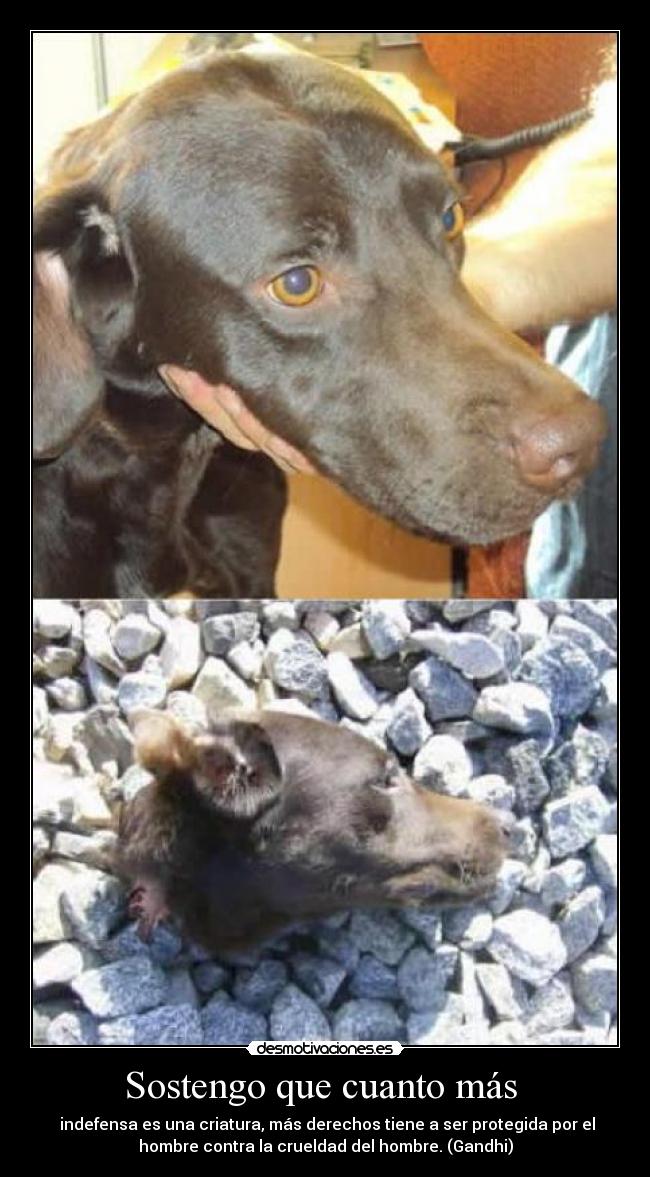 Sostengo que cuanto más -