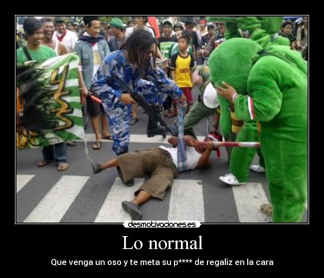 Lo normal - Que venga un oso y te meta su p**** de regaliz en la cara