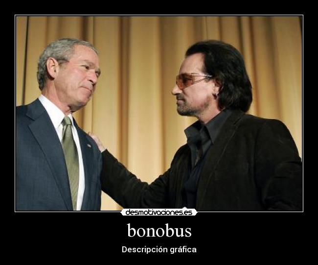 carteles bonobus desmotivaciones