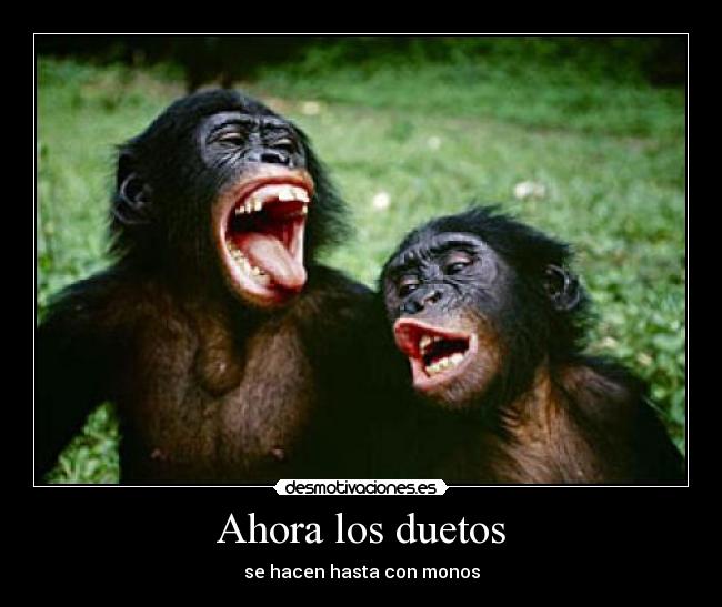 Ahora los duetos - se hacen hasta con monos