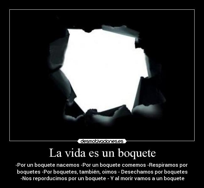 La vida es un boquete - 