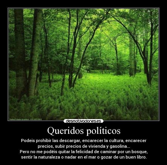 Queridos políticos - 