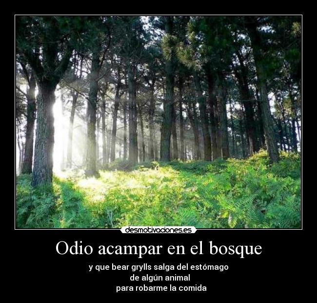 Odio acampar en el bosque - 