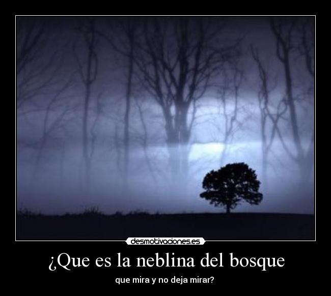 ¿Que es la neblina del bosque - 