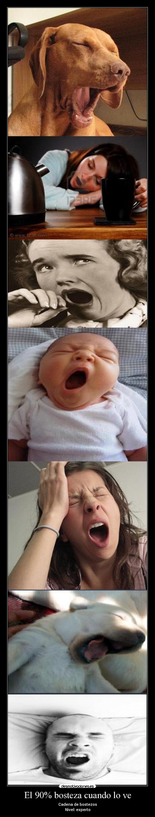 El 90% bosteza cuando lo ve - Cadena de bostezos
Nivel: experto