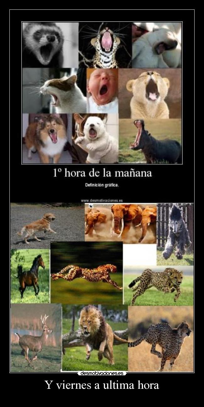 Y viernes a ultima hora - 