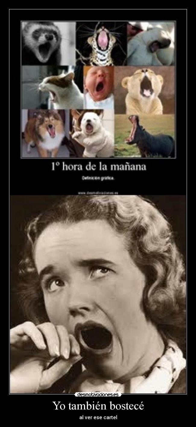 Yo también bostecé -