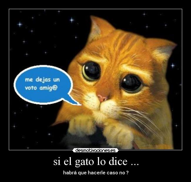 si el gato lo dice ... - habrá que hacerle caso no ?