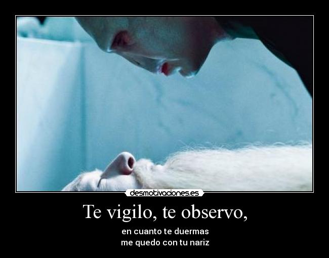 Te vigilo, te observo, - 