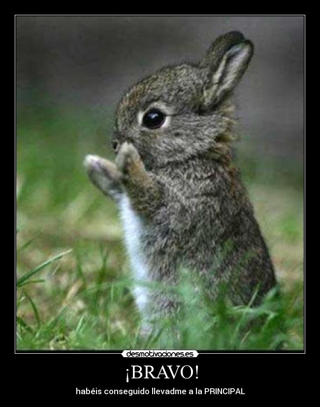 ¡BRAVO! - habéis conseguido llevadme a la PRINCIPAL