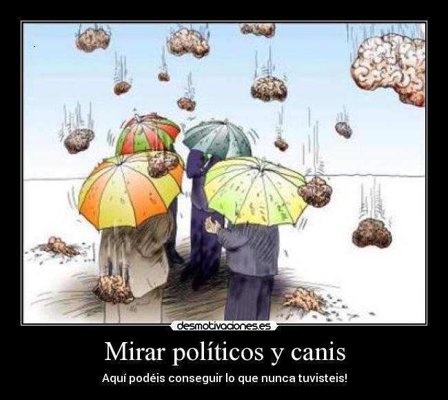 Mirar políticos y canis - Aquí podéis conseguir lo que nunca tuvisteis!