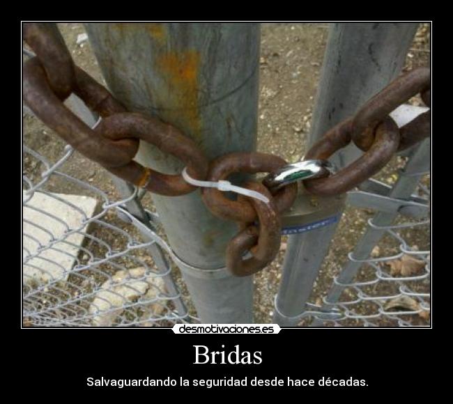 Bridas -