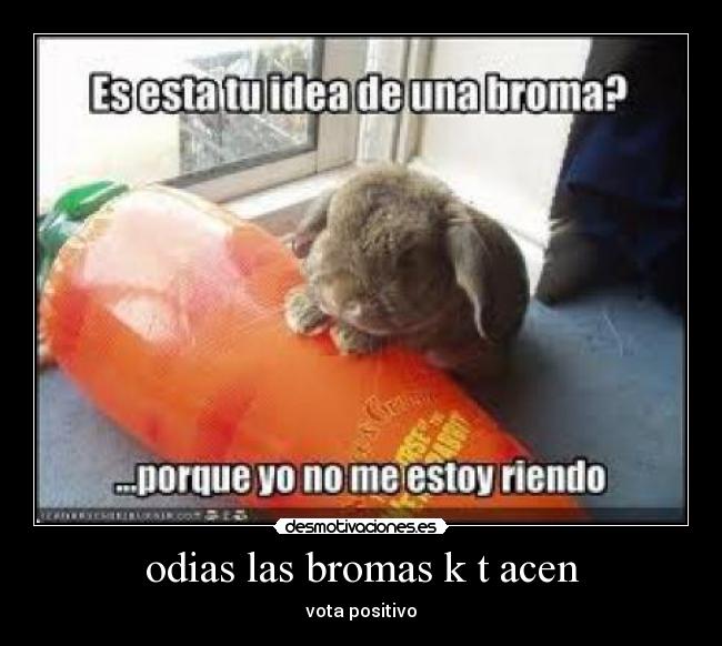 odias las bromas k t acen -