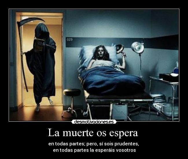 carteles muerte jug0n zorra implakable seth chuck norris desmotivaciones desmotivaciones